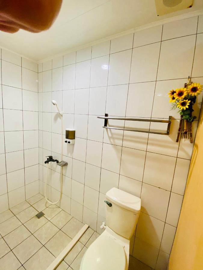 יוצ'י Sunmoonlake Sunflower House מראה חיצוני תמונה